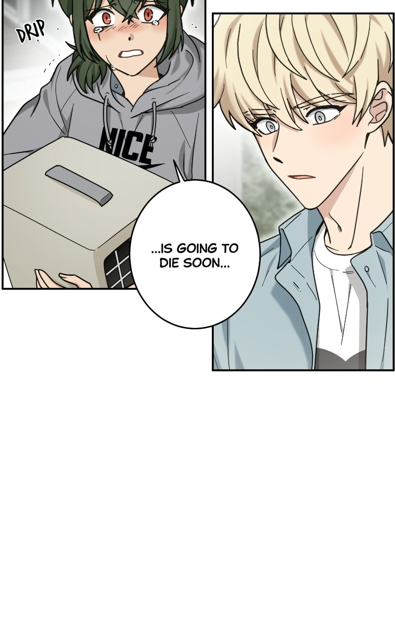 The Most Ordinary Girl Chapter 45 page 4 - 