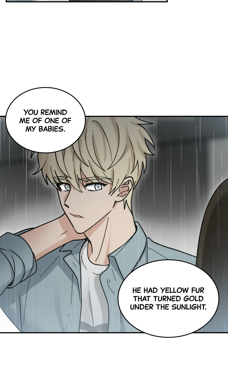 The Most Ordinary Girl Chapter 48 page 39 - 