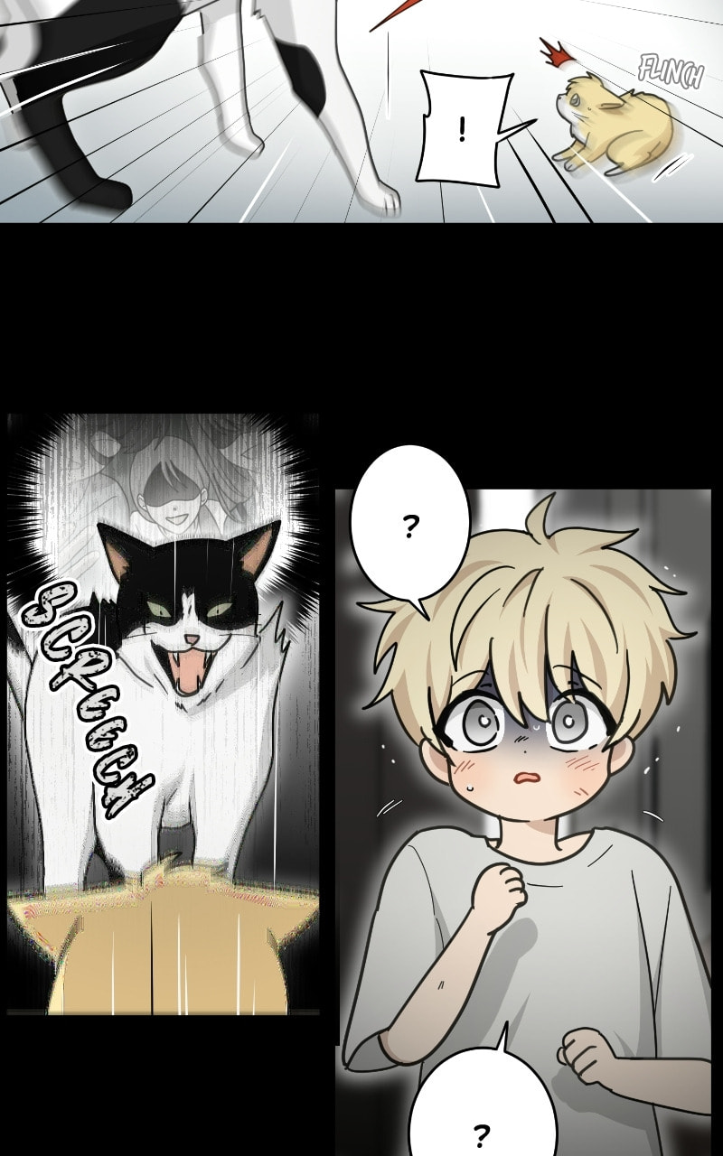 The Most Ordinary Girl Chapter 49 page 11 - 