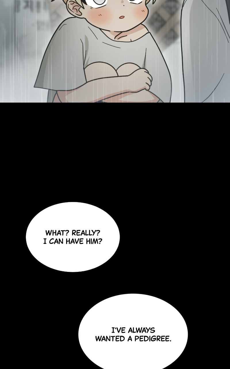 The Most Ordinary Girl Chapter 49 page 16 - 