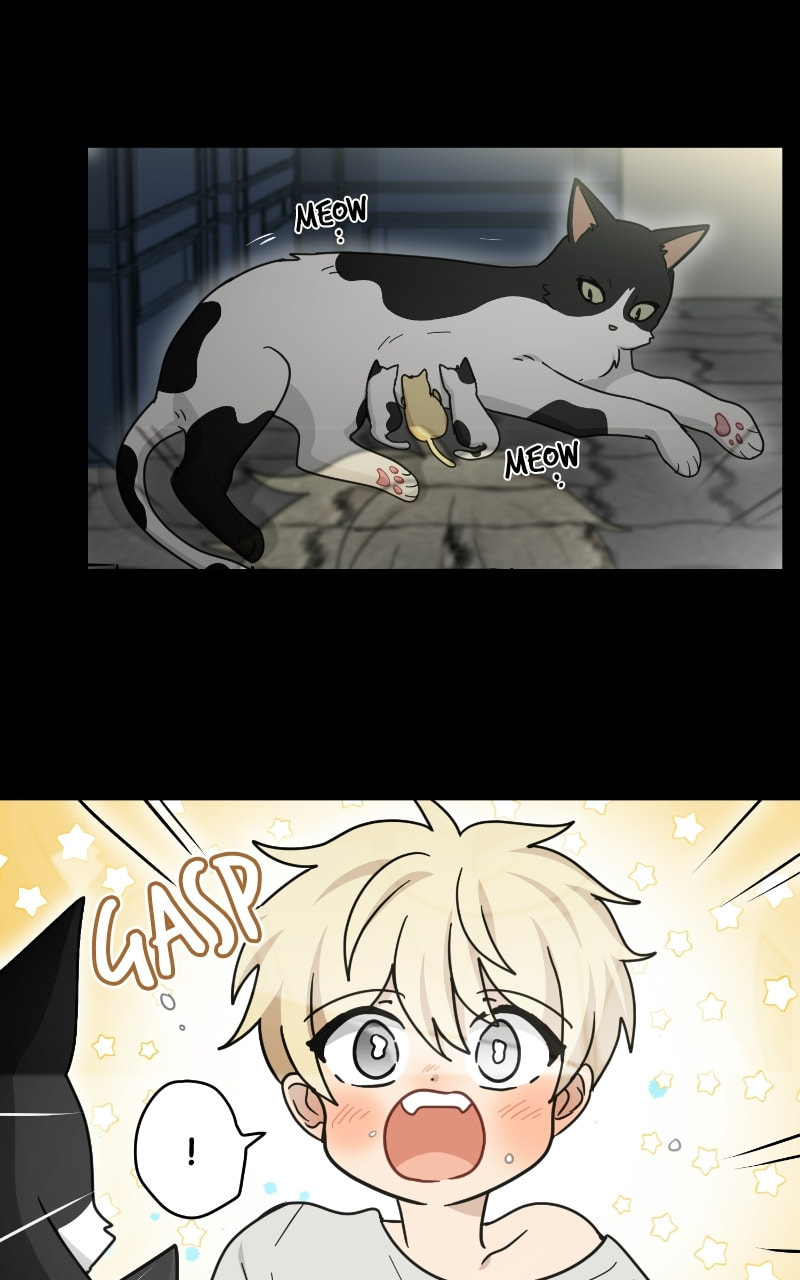 The Most Ordinary Girl Chapter 49 page 4 - 