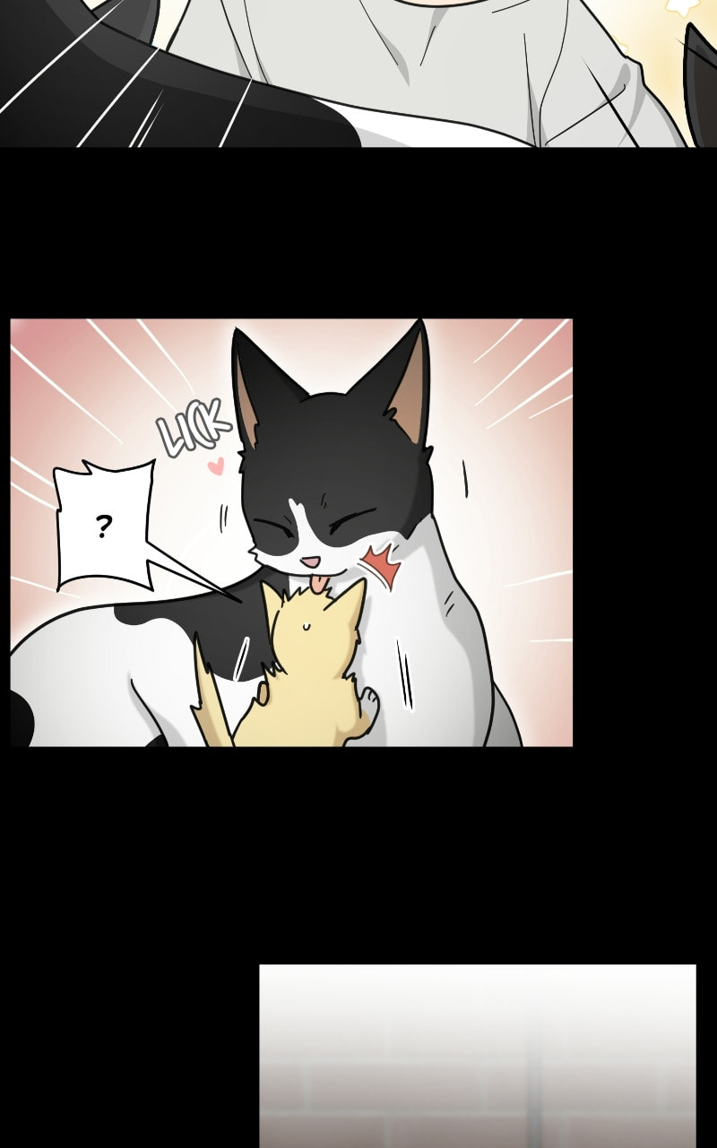 The Most Ordinary Girl Chapter 49 page 5 - 