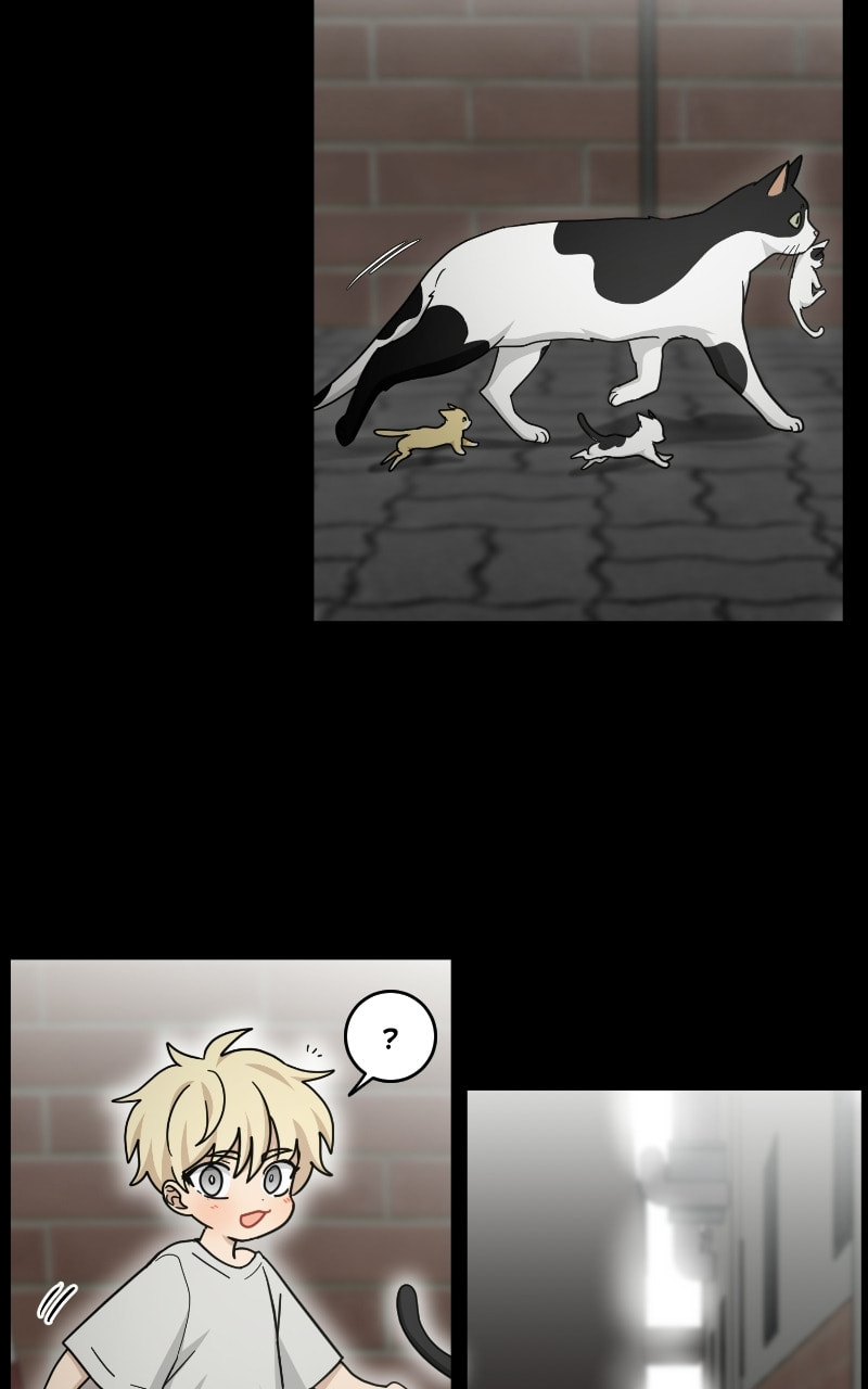 The Most Ordinary Girl Chapter 49 page 6 - 