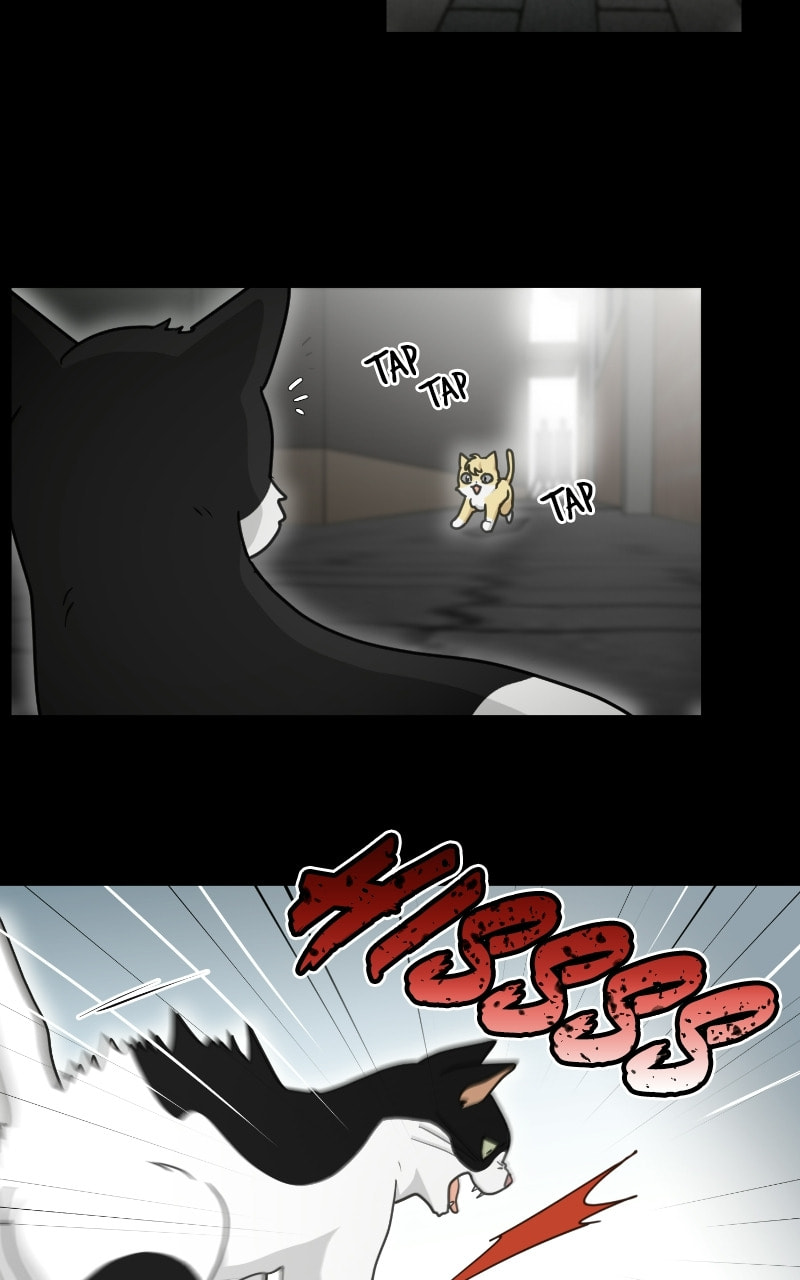 The Most Ordinary Girl Chapter 49 page 10 - 