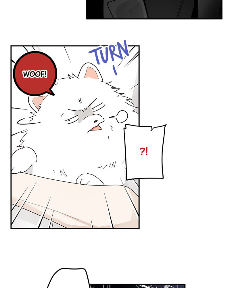 The Most Ordinary Girl Chapter 6 page 67 - 
