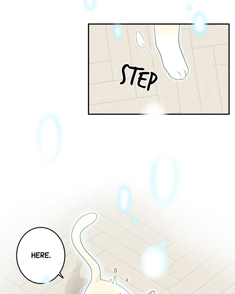 The Most Ordinary Girl Chapter 7 page 6 - 
