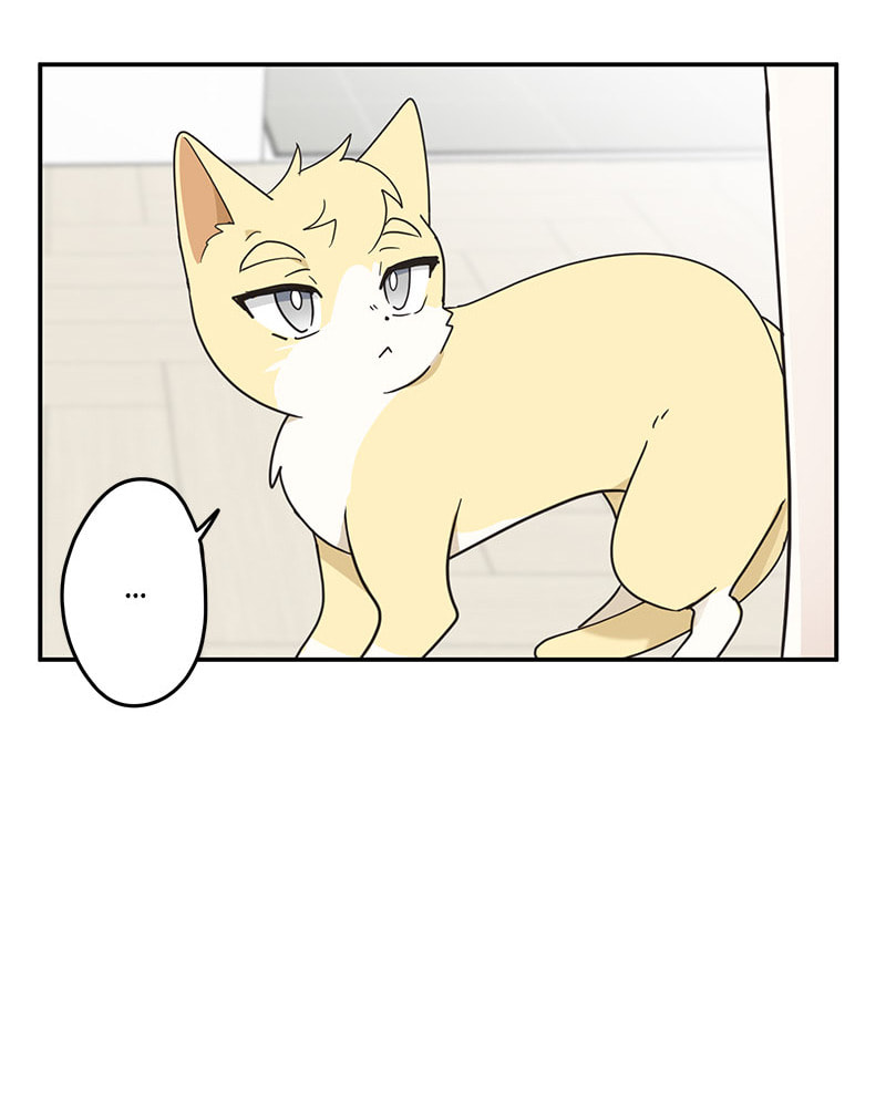The Most Ordinary Girl Chapter 8 page 19 - 