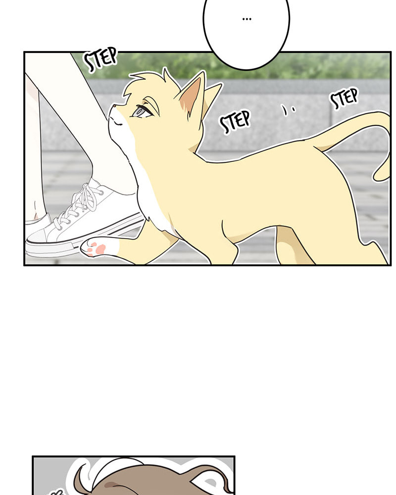 The Most Ordinary Girl Chapter 8 page 23 - 