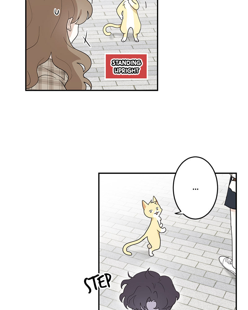 The Most Ordinary Girl Chapter 8 page 27 - 