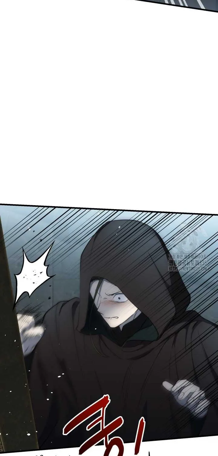 The most poweful characters in the world are crazy about me Chapter 113 page 17 - 