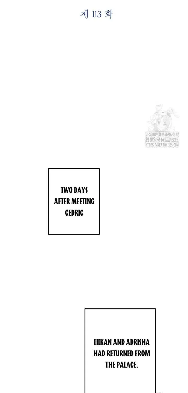 The most poweful characters in the world are crazy about me Chapter 113 page 24 - 