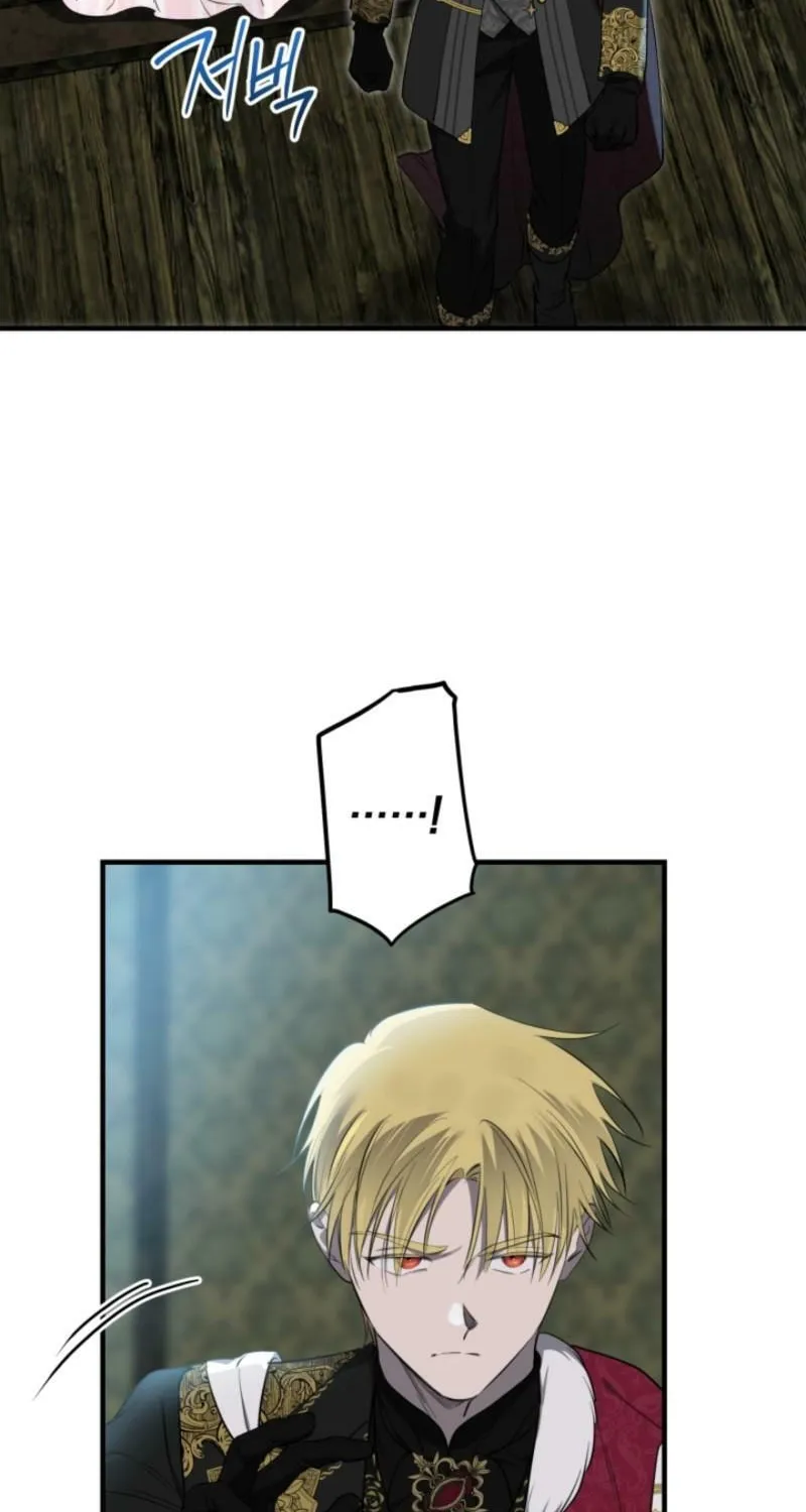 The Most Powerful Characters in the World Are Obsessed with Me Chapter 137 page 64 - 