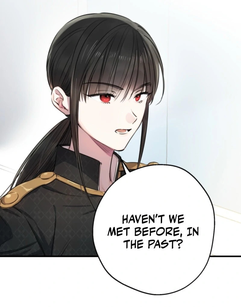 The Most Powerful Characters in the World Are Obsessed with Me Chapter 146 page 13 - 