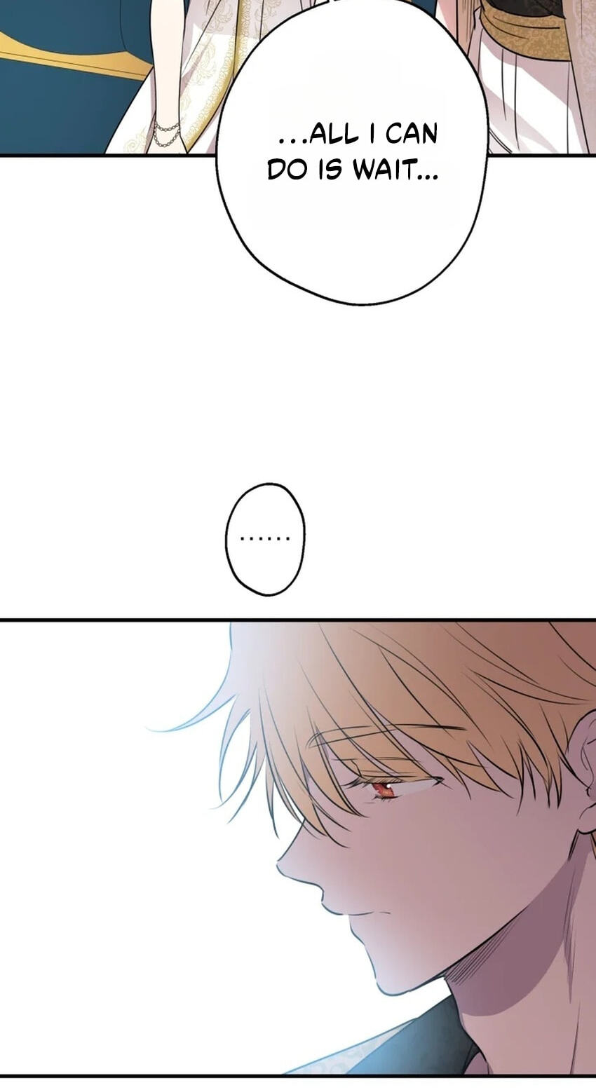 The Most Powerful Characters in the World Are Obsessed with Me Chapter 166 page 71 - 