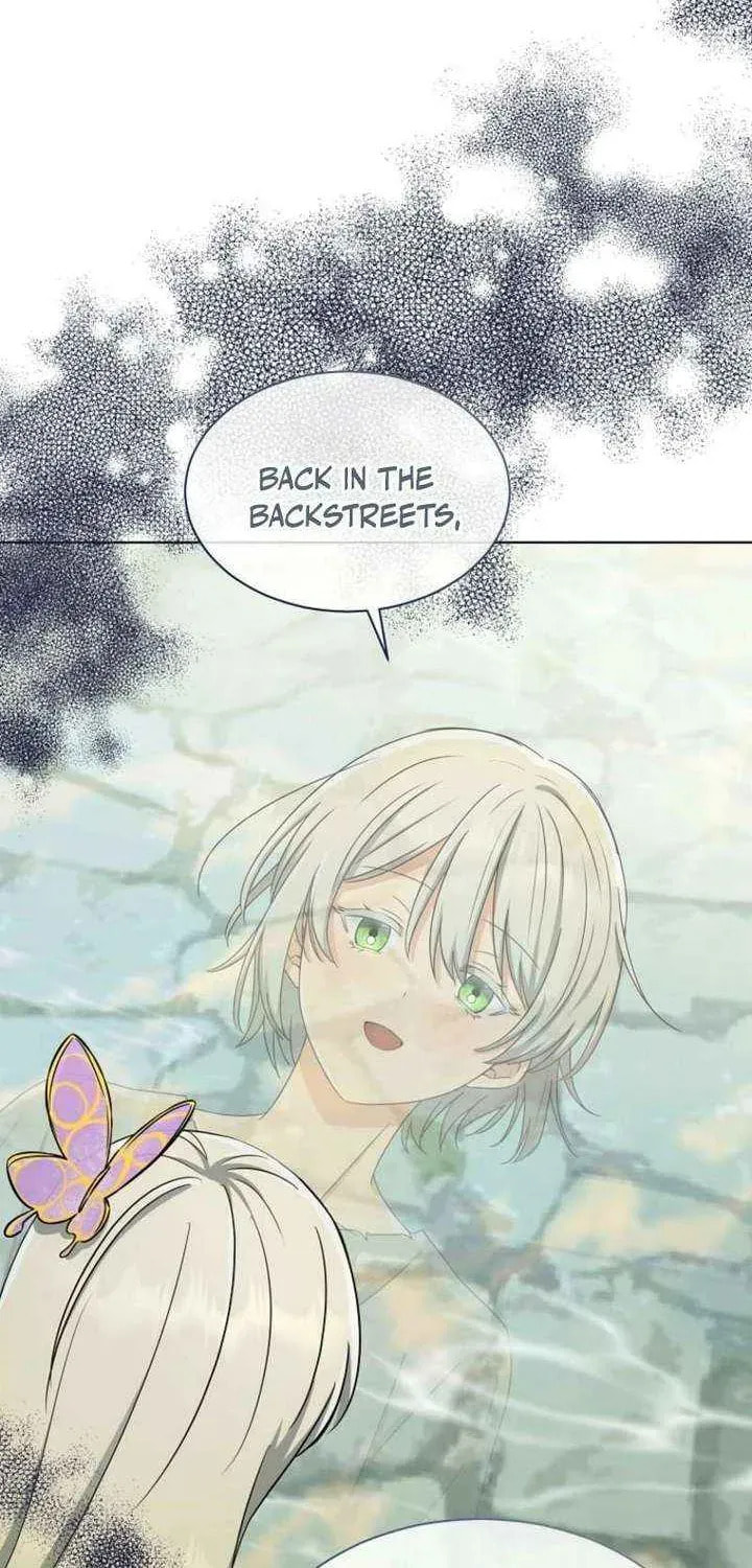 Read The Mouse Caught the Dragon