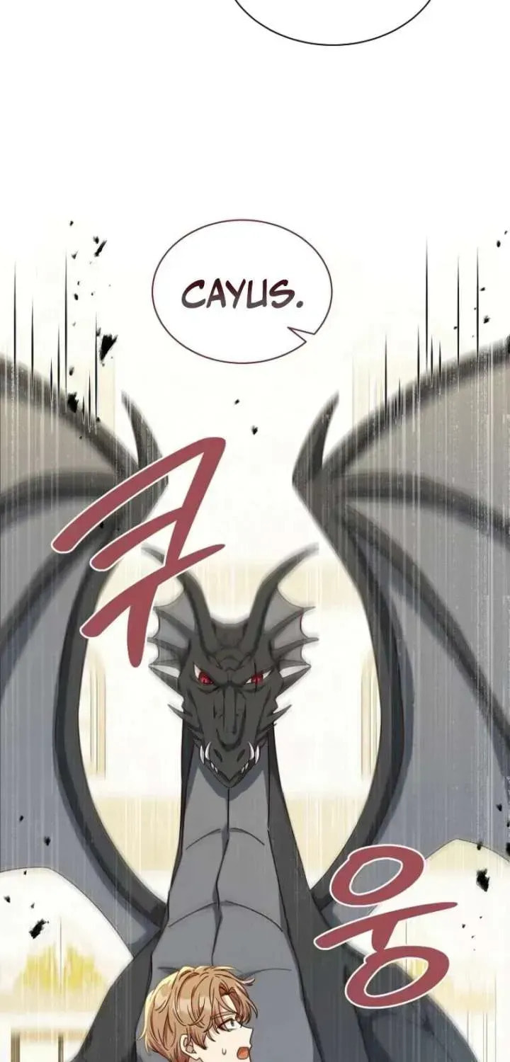 Read The Mouse Caught the Dragon