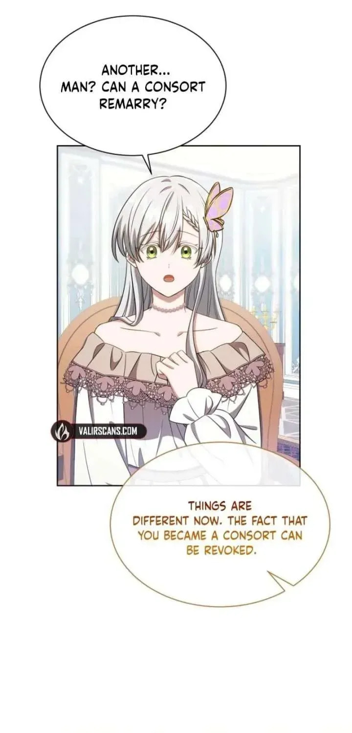 Read The Mouse Caught the Dragon