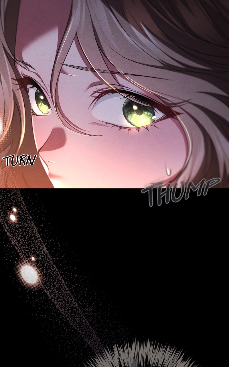 Read The Murderer TargetsBrunettes chapter 1 image 11 on Lezhin