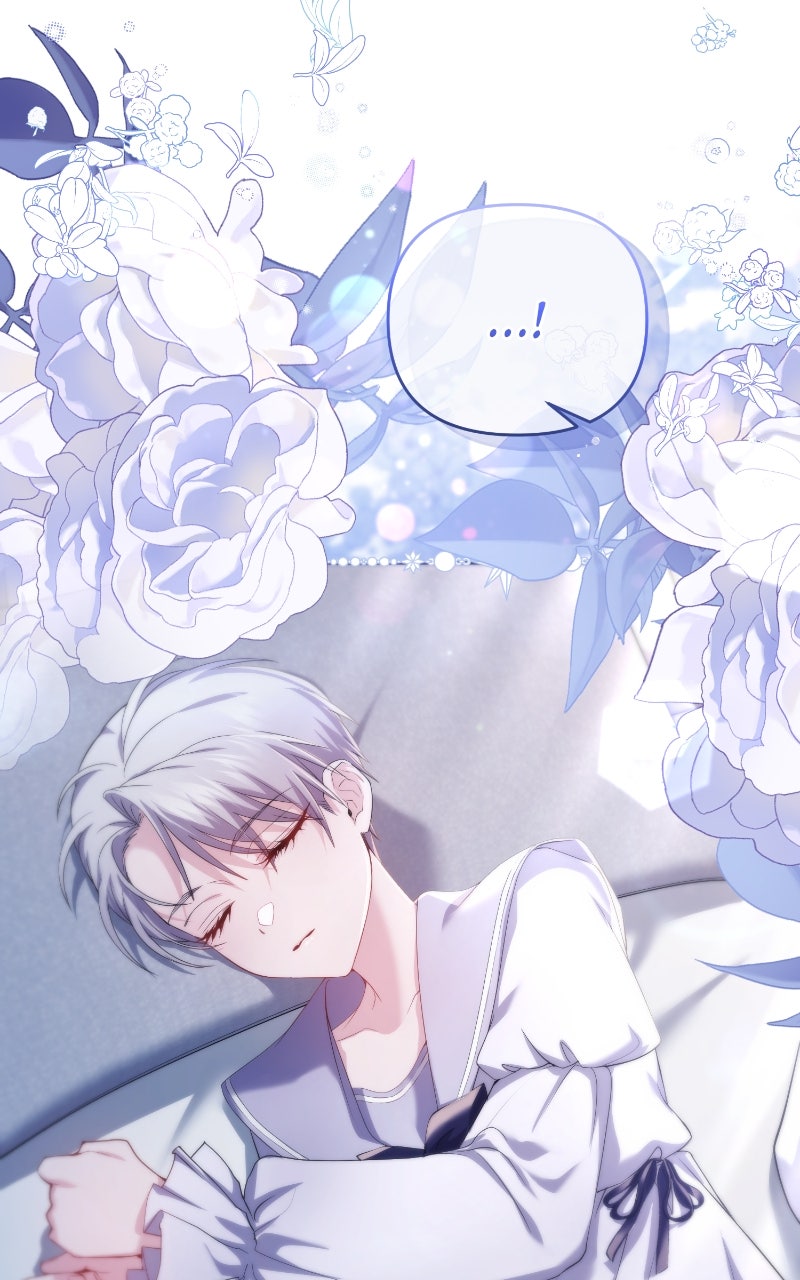 Read The Murderer TargetsBrunettes chapter 21 image 67 on Lezhin