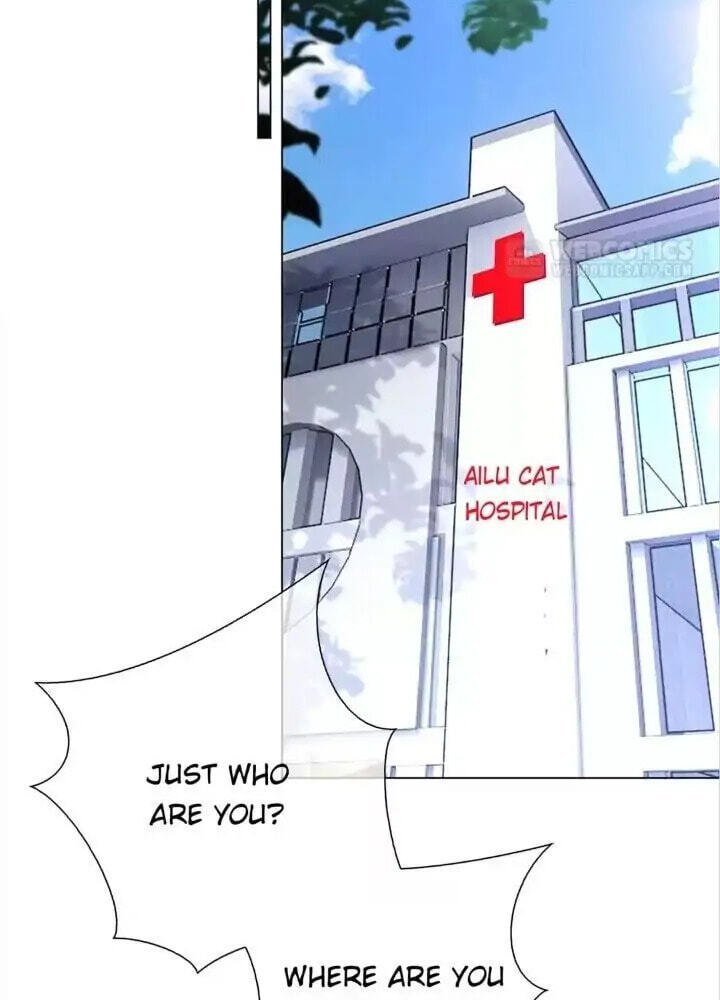 Read The Naive Mr. Lu chapter 151 image 1 on Lezhin