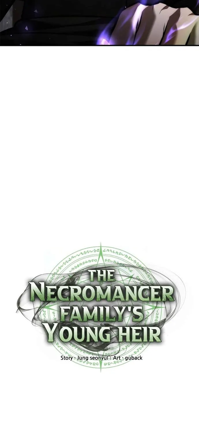 The Necromancer Family’s Young Heir Chapter 42 page 18 - 
