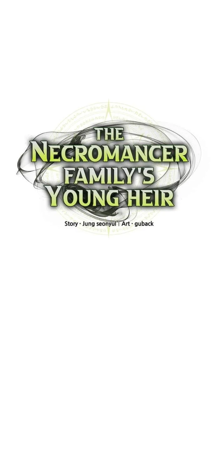 The Necromancer Family’s Young Heir Chapter 44 page 18 - 