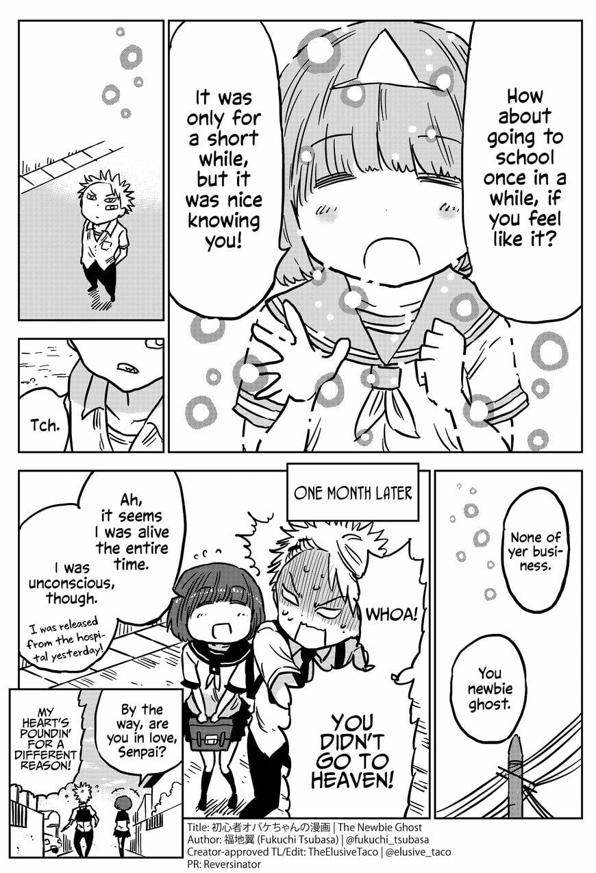 Read The Newbie Ghost chapter 1 image 2 on Lezhin