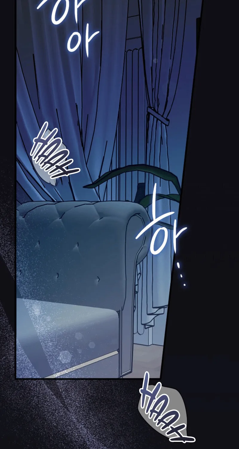 The Night of the Contracted Couple Chapter 1 page 2 - 