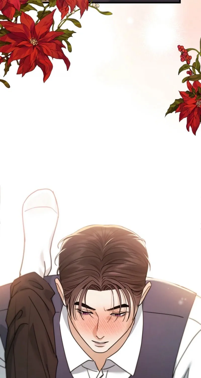 The Night of the Contracted Couple Chapter 12 page 95 - 