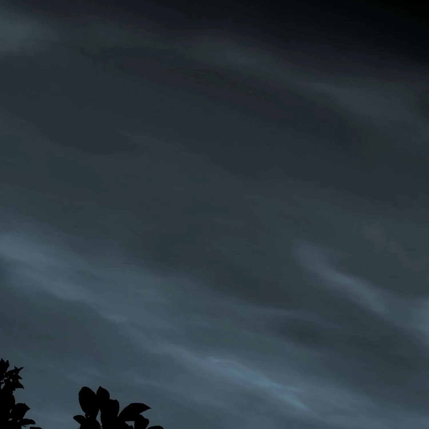 Read The Night When Flowers Fall chapter 2 image 1 on Lezhin