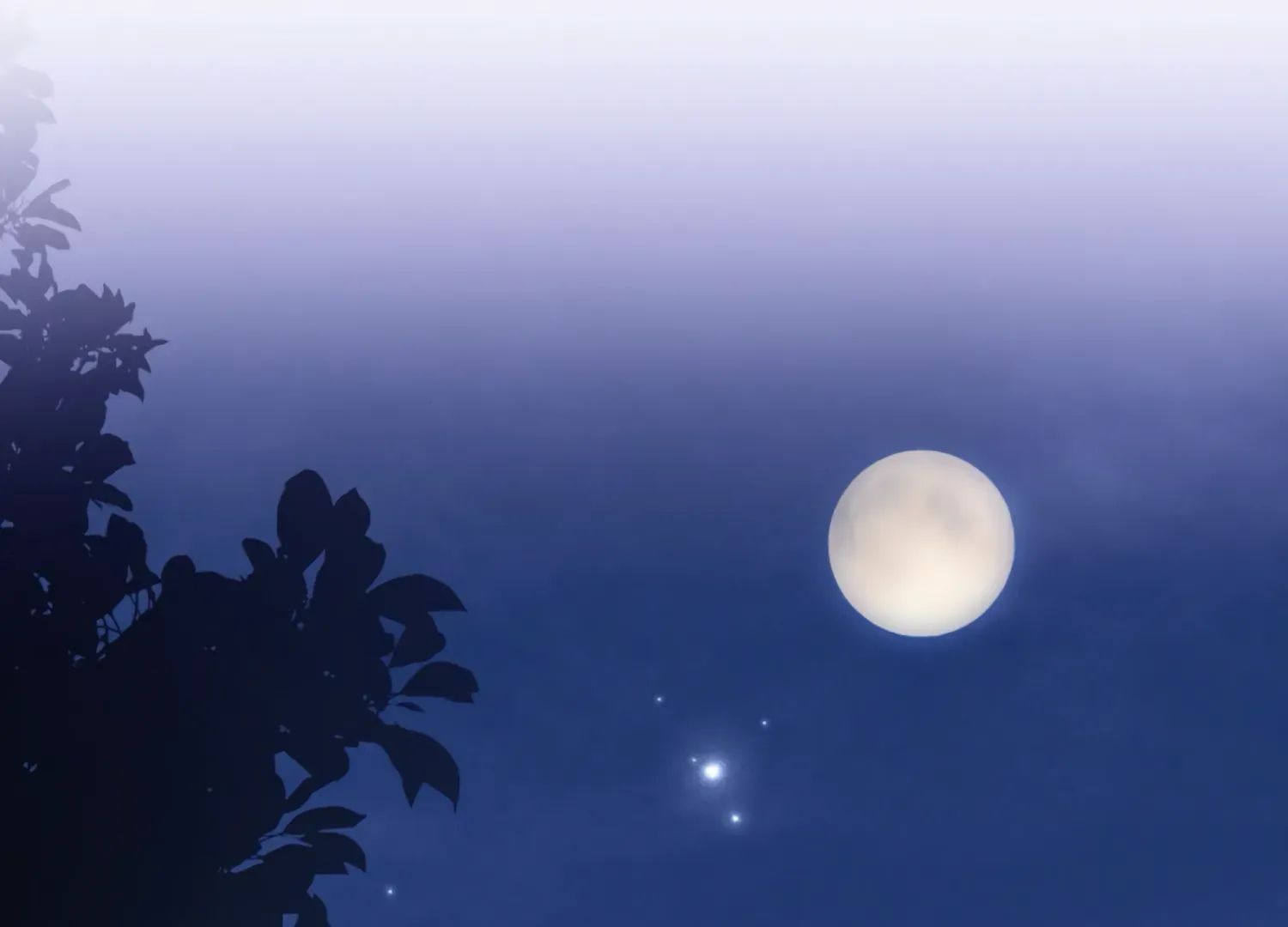 Read The Night When Flowers Fall chapter 23 image 87 on Lezhin
