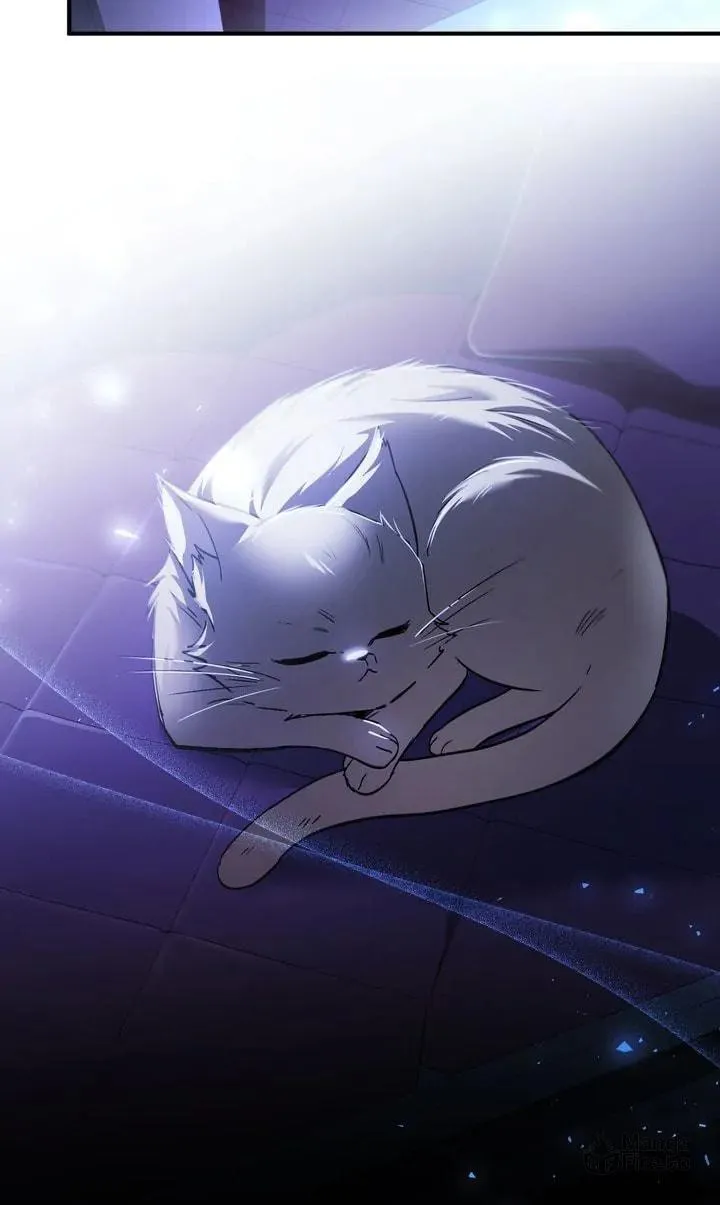 Read The Night Without Shadows chapter 69 image 34 on Lezhin
