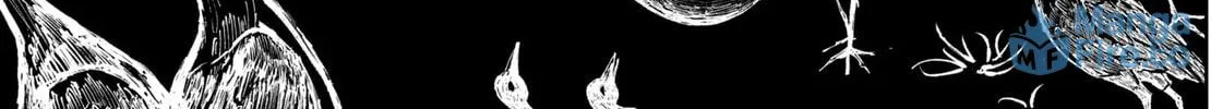 Read The Nito Exorcists chapter 24 image 17 on Lezhin