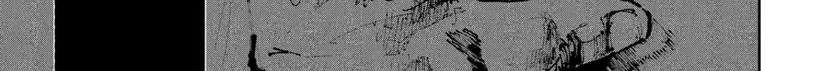 Read The Nito Exorcists chapter 39 image 5 on Lezhin