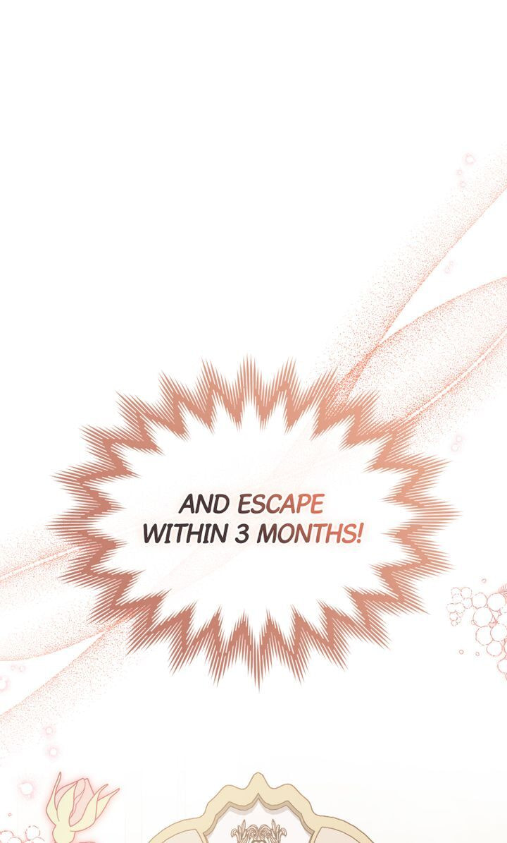 Read The Noble Pirate chapter 3 image 39 on Lezhin