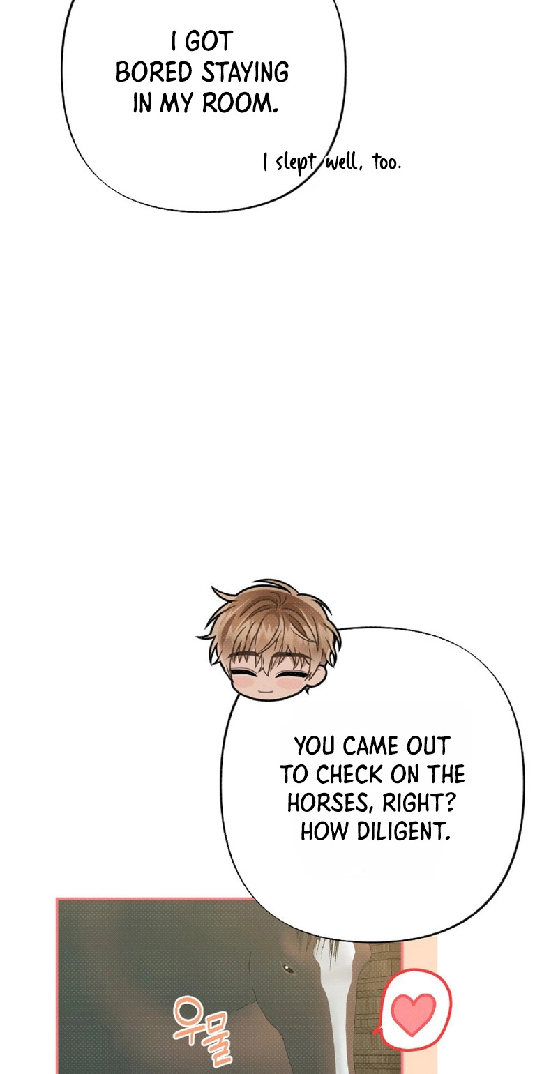 The Northern Archduke Is So Cute Chapter 3 page 17 - 