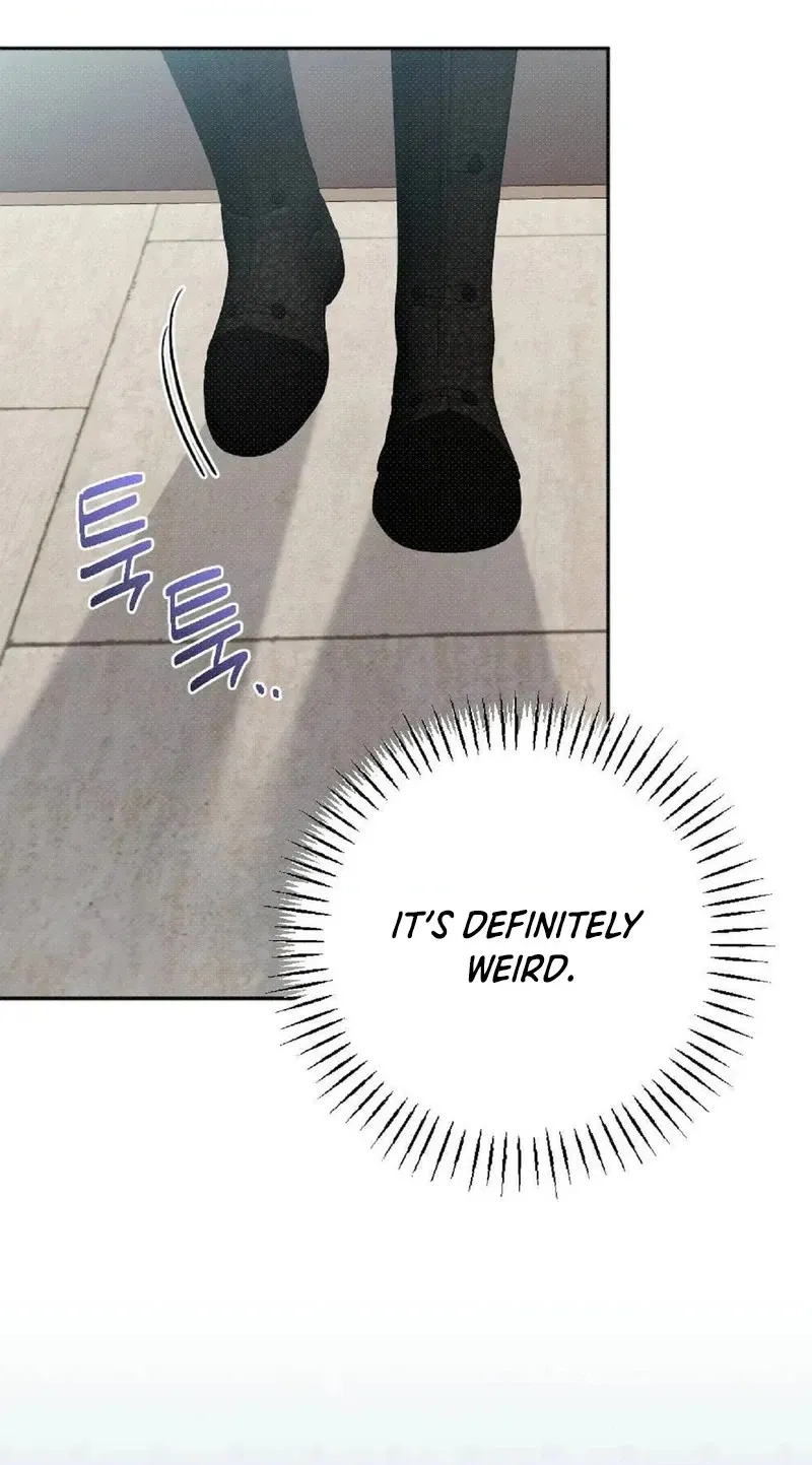 The Northern Archduke Is So Cute Chapter 5 page 10 - 
