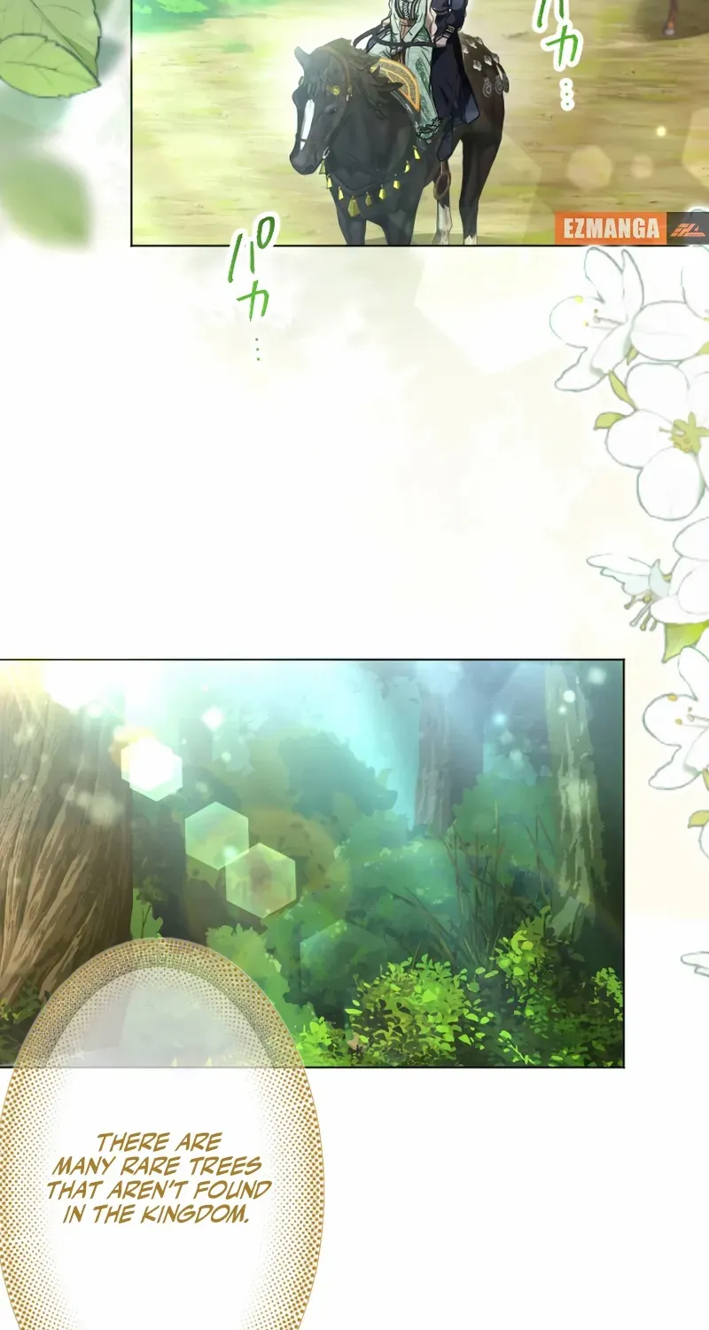 The Northern Warrior’s Beloved Bride Chapter 21 page 61 - 