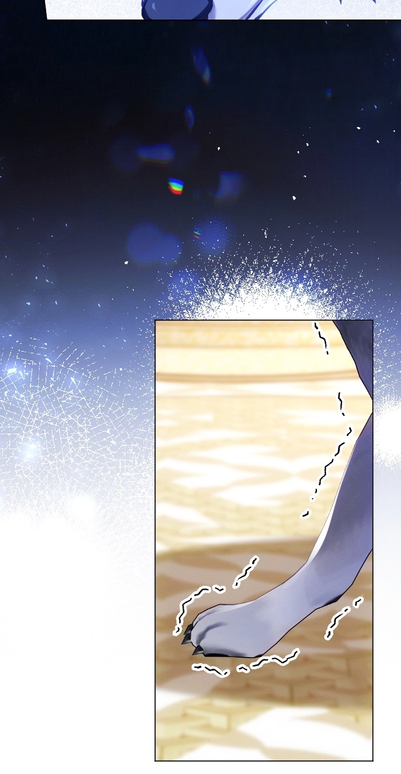 The Northern Warrior’s Beloved Bride Chapter 59 page 78 - 