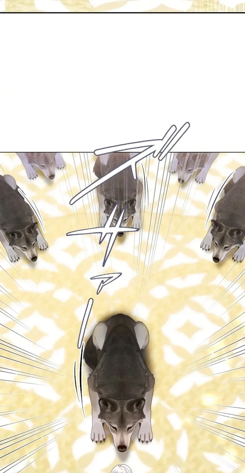 The Northern Warrior’s Beloved Bride Chapter 59 page 80 - 