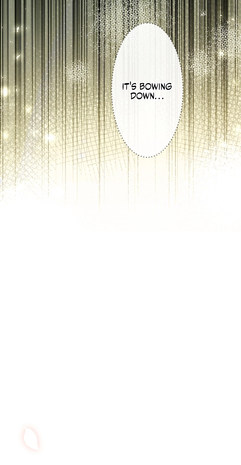 The Northern Warrior’s Beloved Bride Chapter 59 page 82 - 