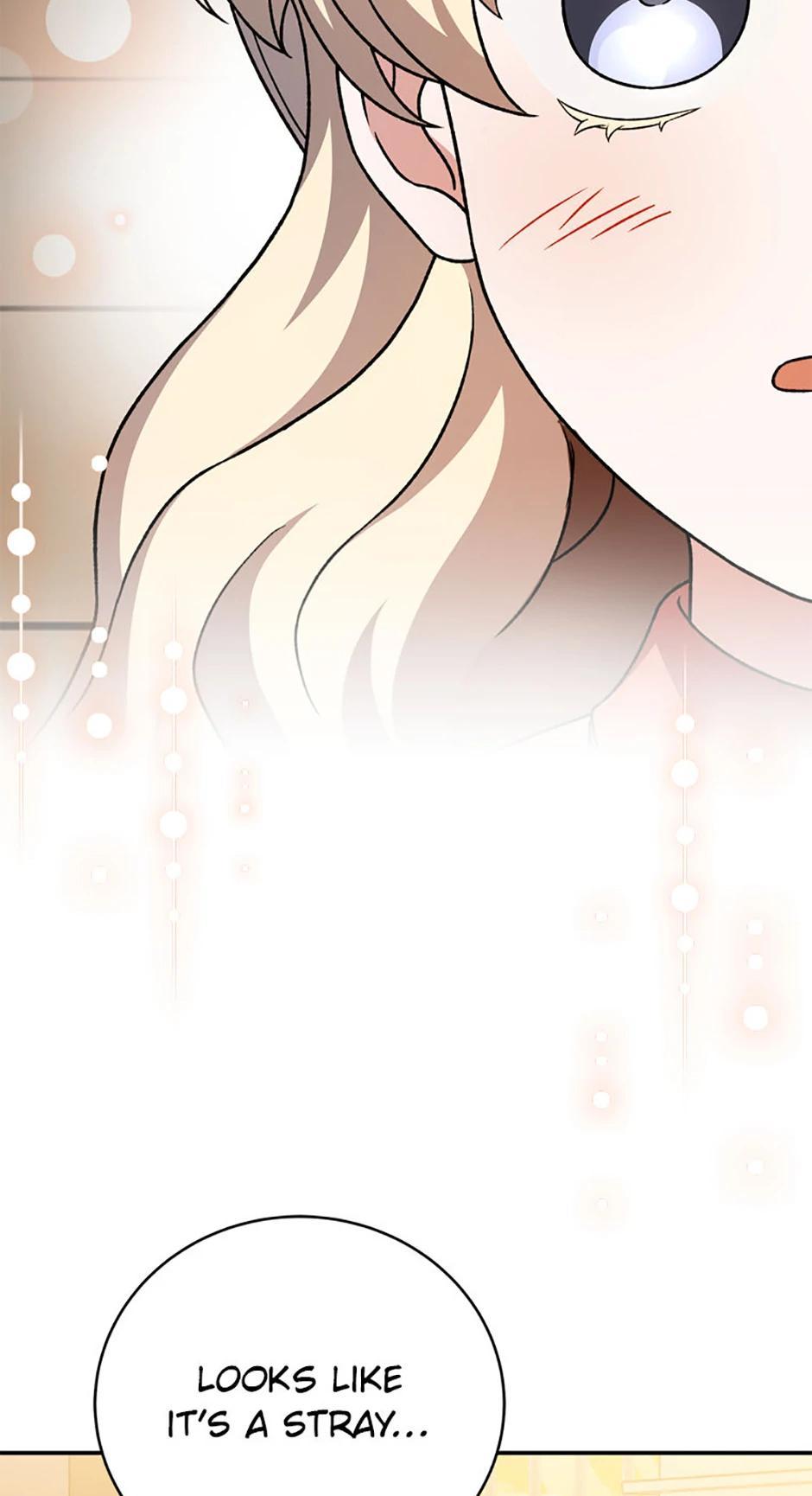 Read The Novel