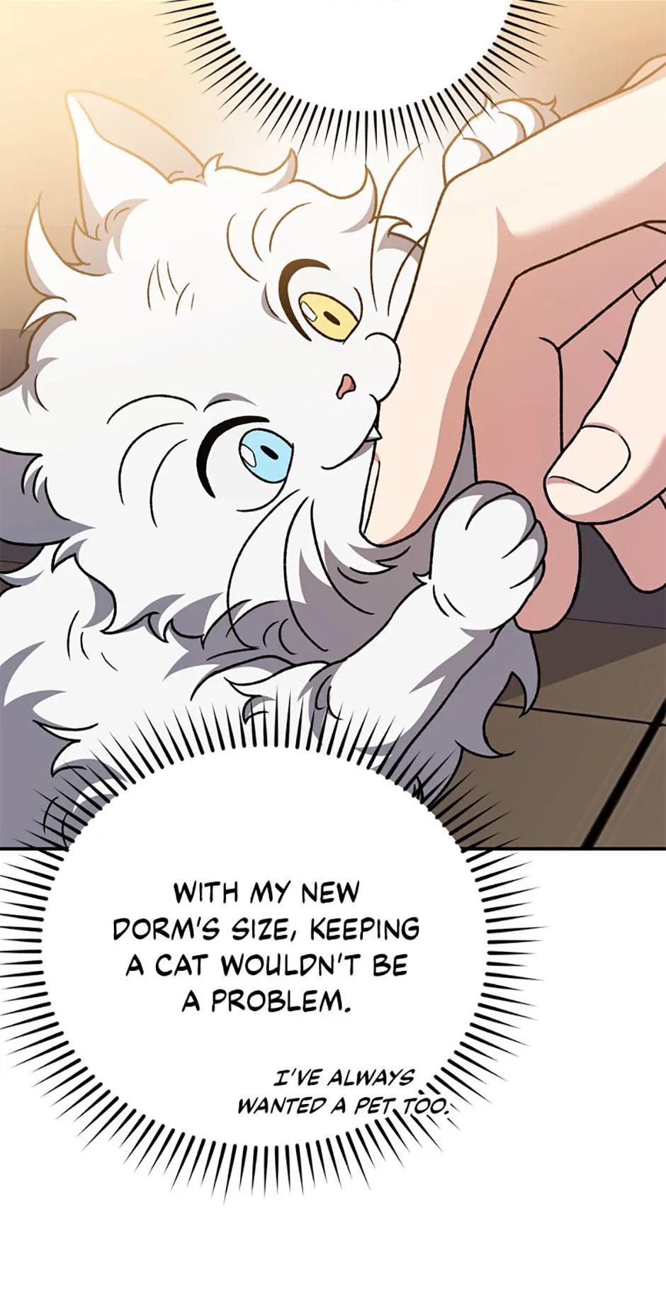 Read The Novel