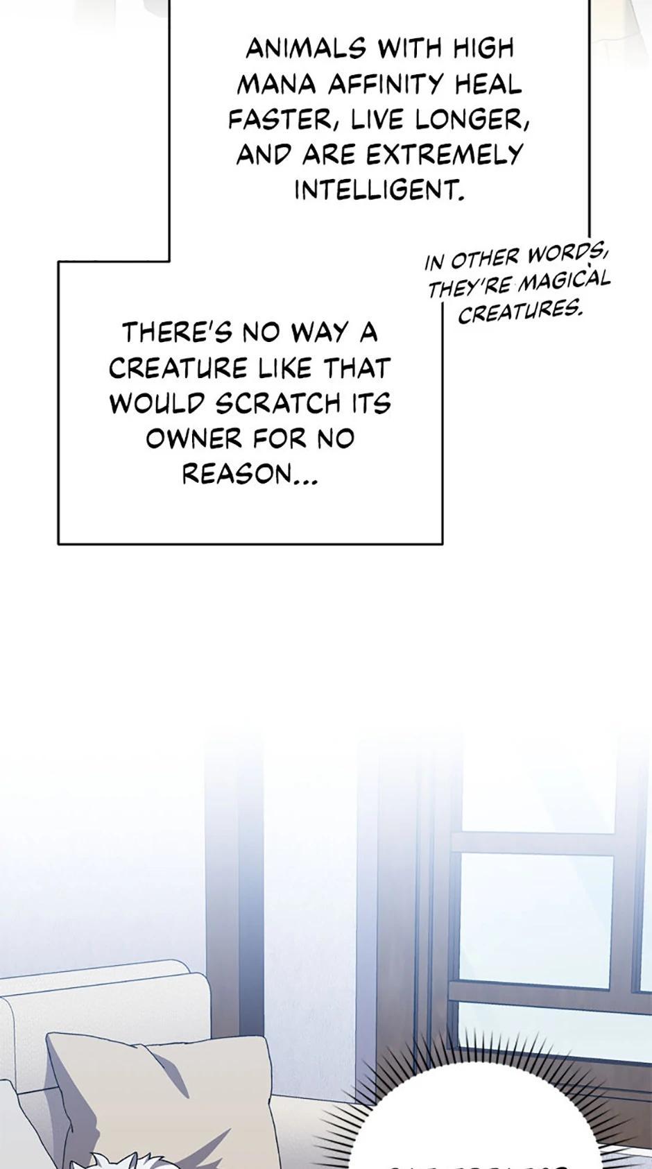 Read The Novel