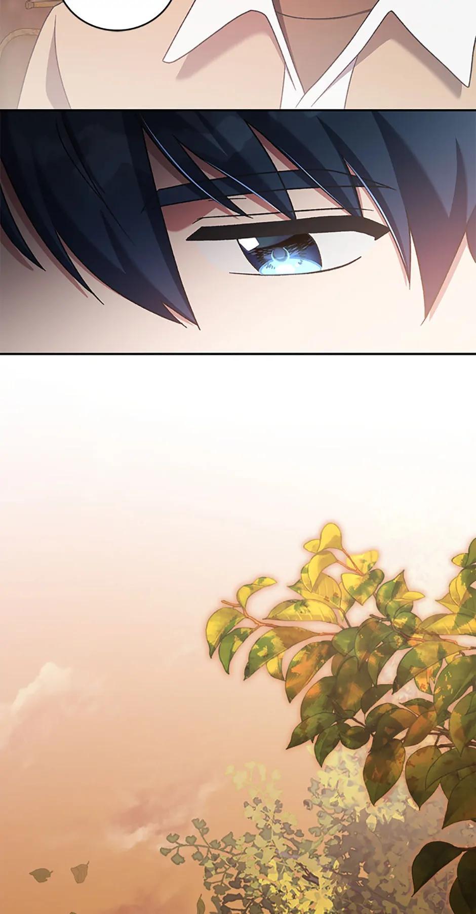 Read The Novel