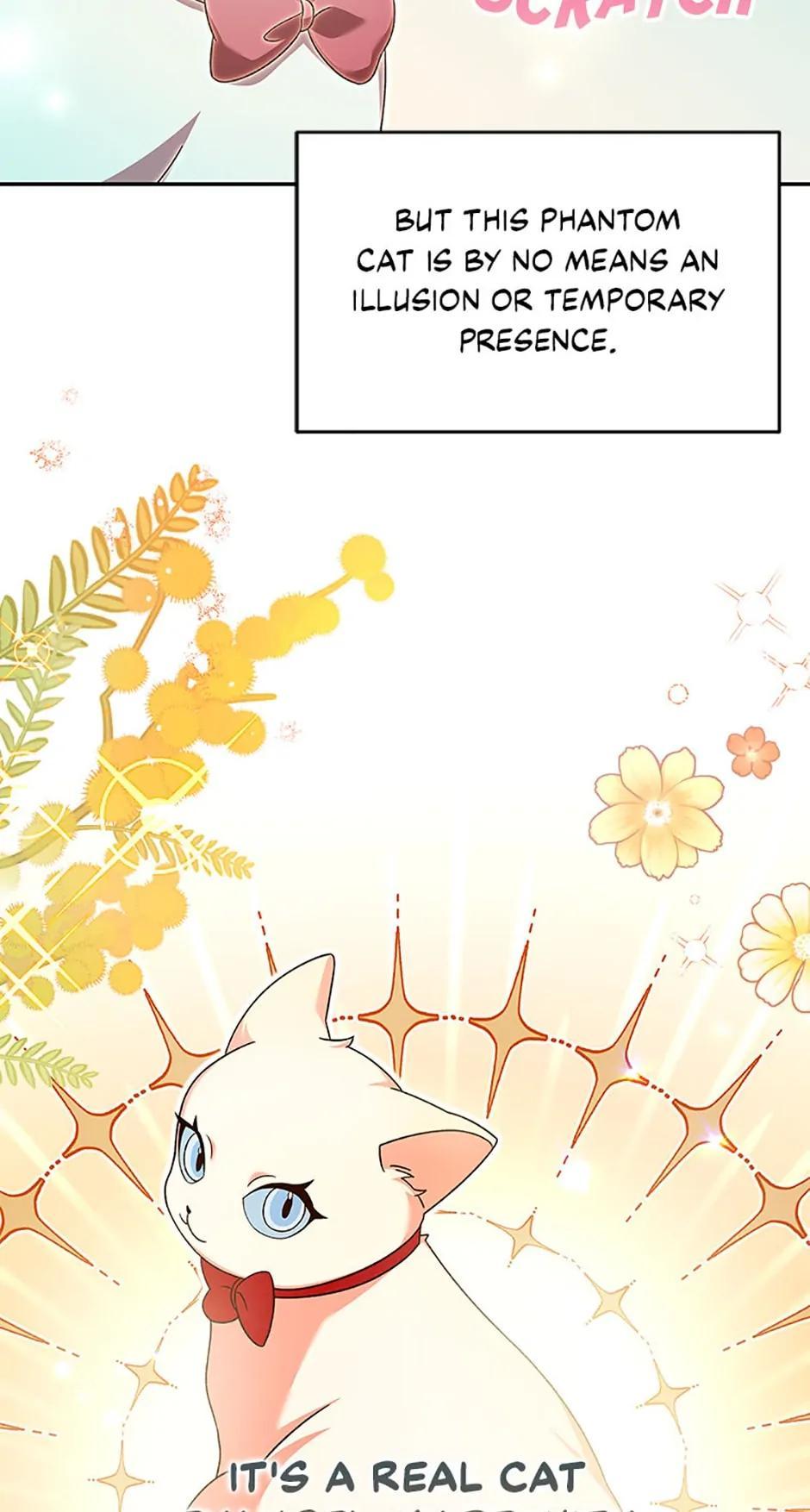 Read The Novel