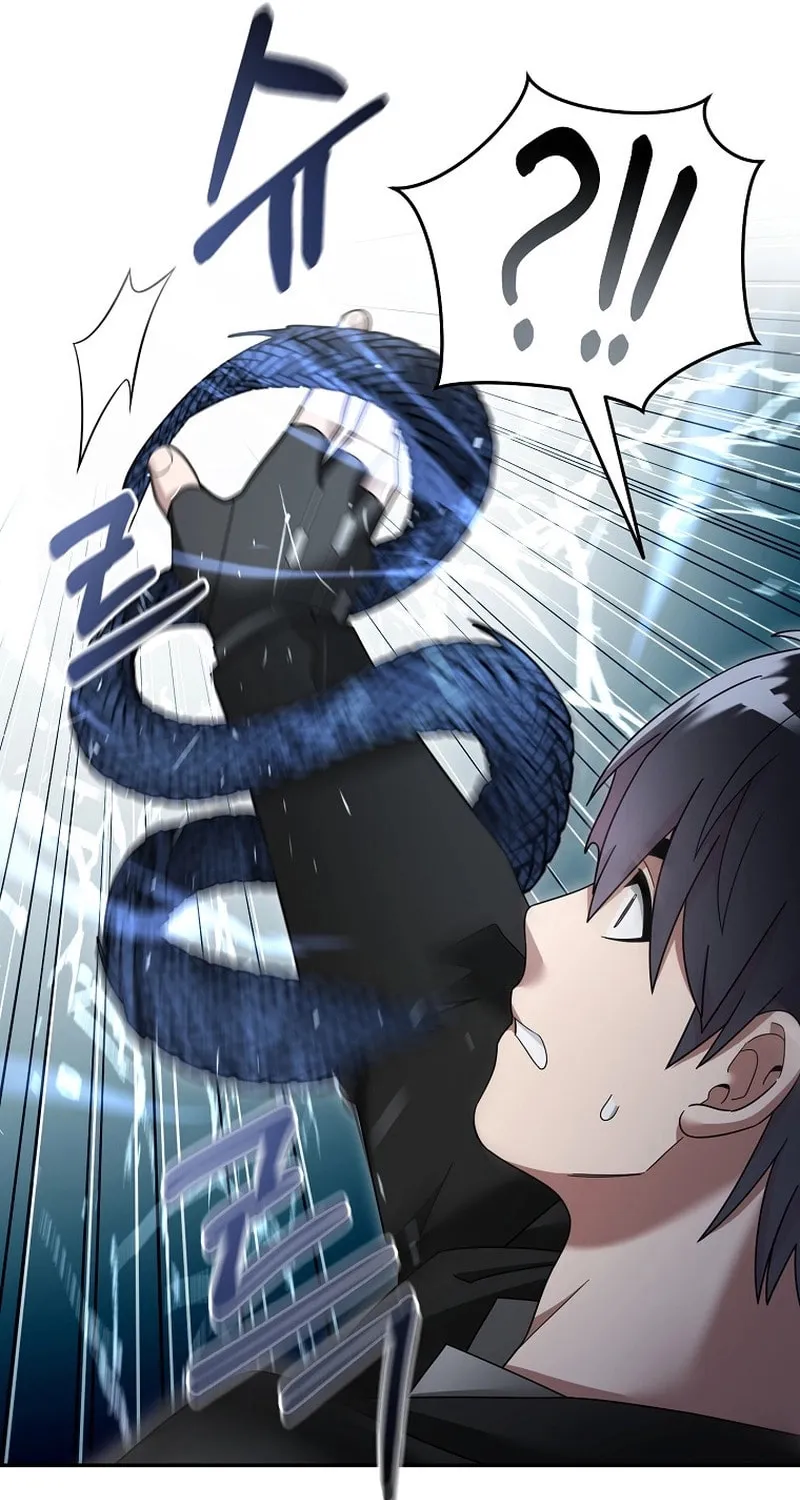 Read The Overpowered Newbie chapter 117 image 62 on Lezhin