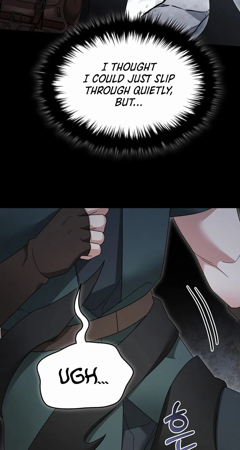 Read The Overpowered Newbie chapter 127 image 12 on Lezhin