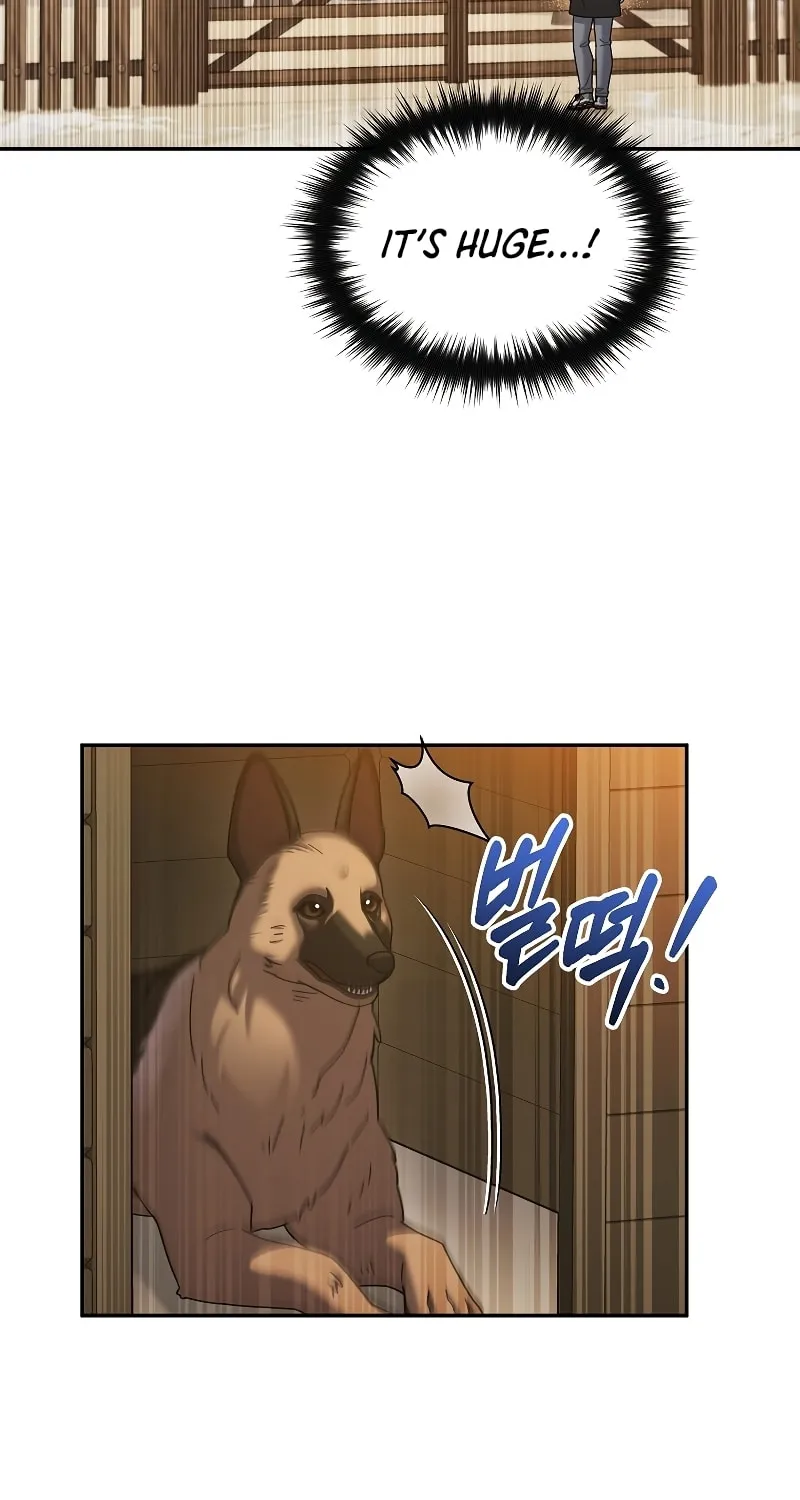 Read The Overpowered Newbie chapter 46 image 89 on Lezhin