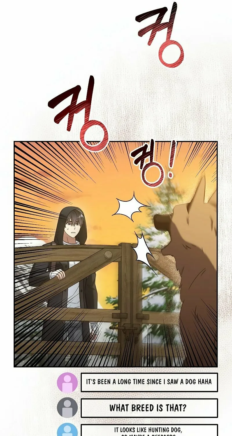 Read The Overpowered Newbie chapter 46 image 91 on Lezhin